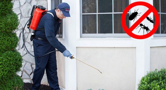Üçkuyular Hamam Böceği İlaçlama böcek ilaçlama ve haşere kontrolü — ilaclama-tr.com